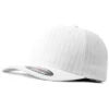 Flexfit Pinestripe Cap Weiss Schwarz