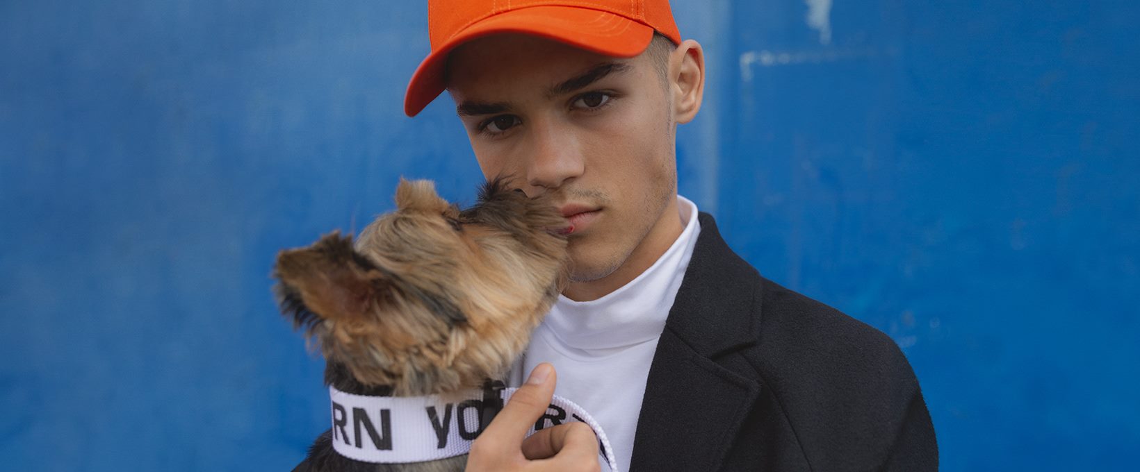 Rice Owls Geschaft 10 Rice Owls Geschaft -Rice Owls Geschaft 41695126 2319121538104965 276322768302112768 n